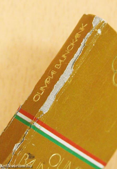 Olimpiai bajnokaink (minikönyv)