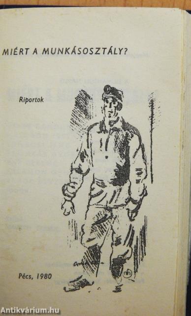 Miért a munkásosztály? (minikönyv)