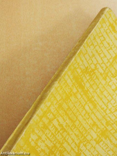 Szolnok város története I.