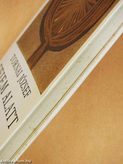 Fejem alatt telihold (dedikált példány)