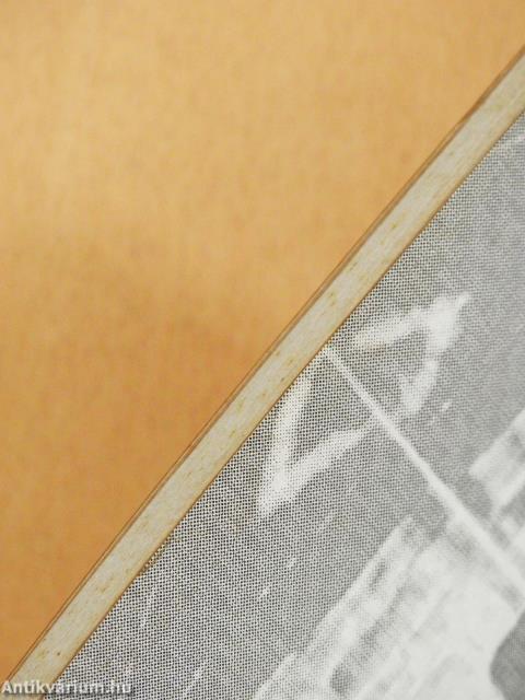 Rögön, pázsiton (dedikált példány)