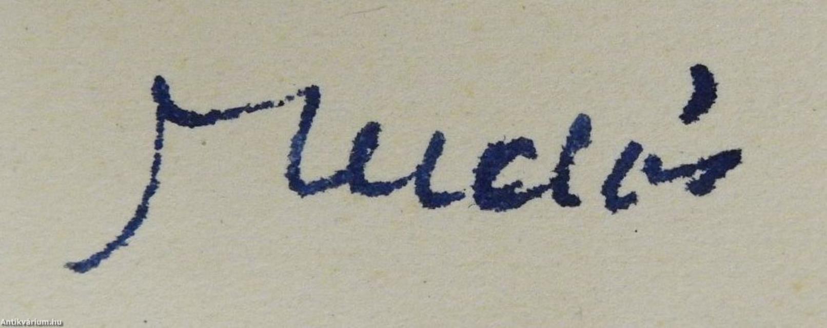 Levelek Bécsbe (dedikált példány)