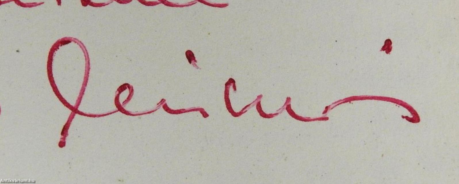 A visegrádi királyi palota (dedikált példány)