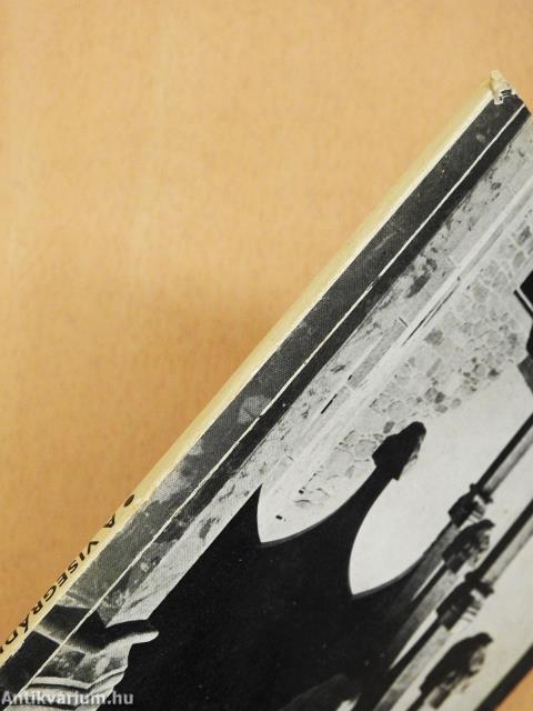 A visegrádi királyi palota (dedikált példány)