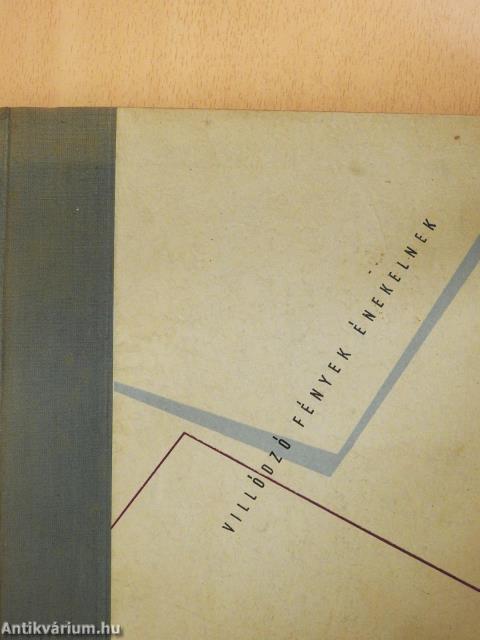 Villódzó fények énekelnek (dedikált példány)