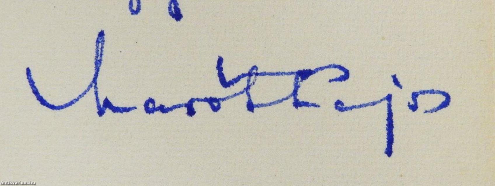 Villódzó fények énekelnek (dedikált példány)