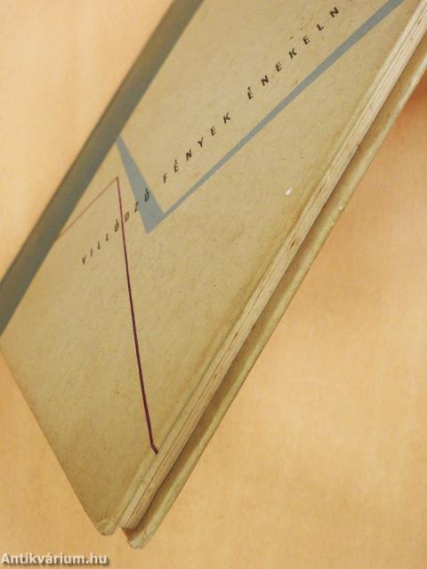 Villódzó fények énekelnek (dedikált példány)