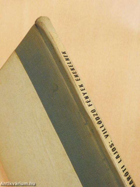 Villódzó fények énekelnek (dedikált példány)