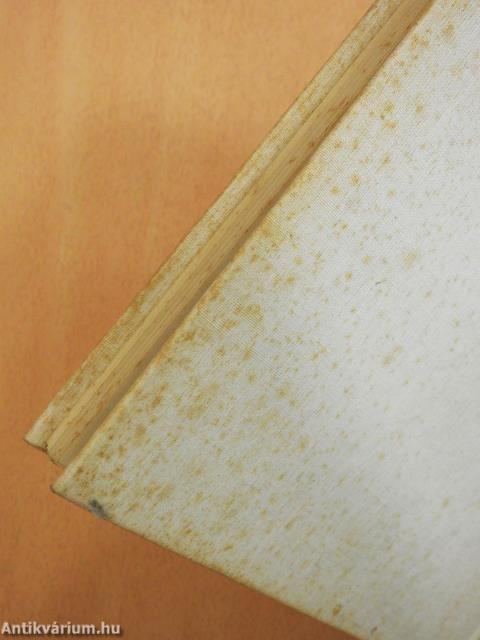 Pantomim (dedikált példány)