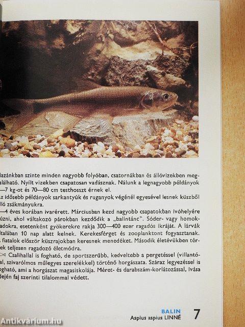 A hazai halakról