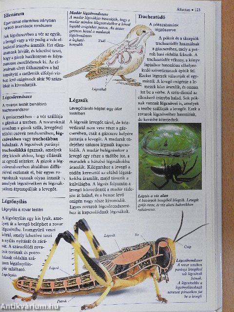 A természet kisenciklopédiája