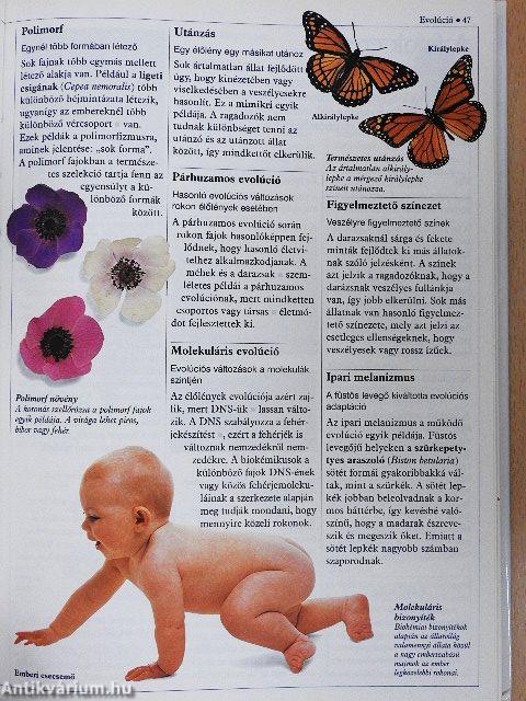A természet kisenciklopédiája