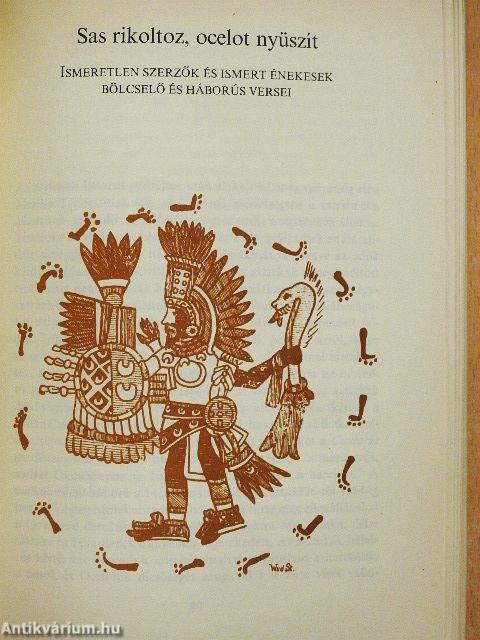 Sasok és kondorkeselyűk