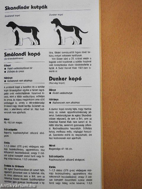 Tanácsadó kézikönyv nagy testű kutya választásához