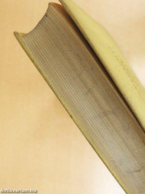 Abenteuer eines Ausreißers (gótbetűs)