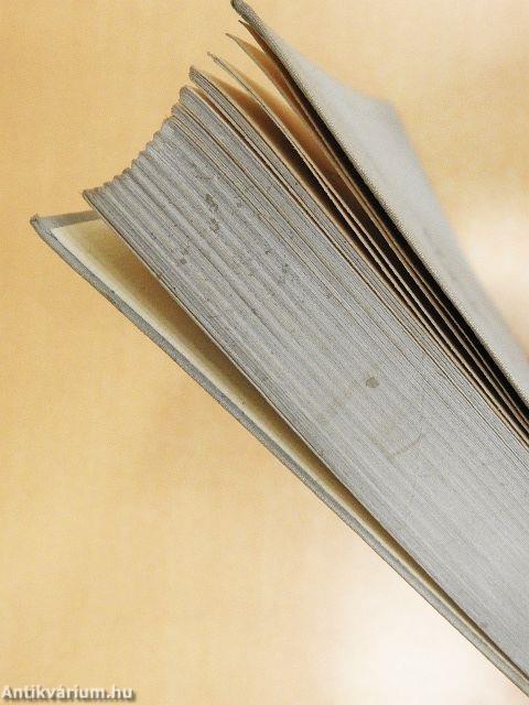 Anstandsbuch für Anständige (gótbetűs)