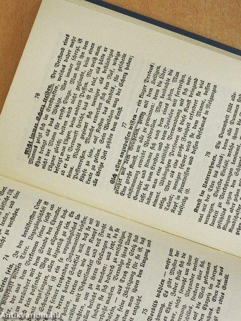 Gracians Handorakel und Kunst der Weltklugheit (gótbetűs)