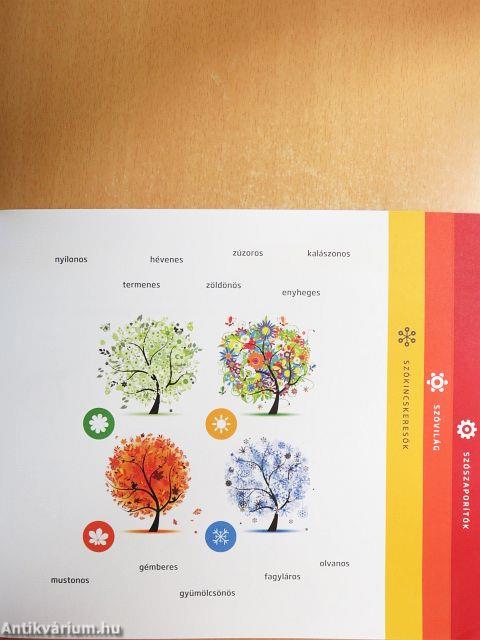 Anyanyelvi kalandpálya