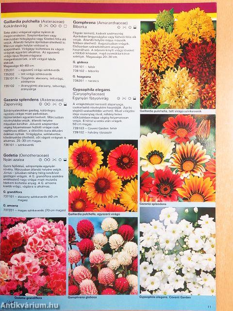 Dísznövény-Katalógus 