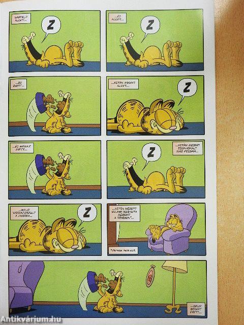 Garfield 39-40. Különszám