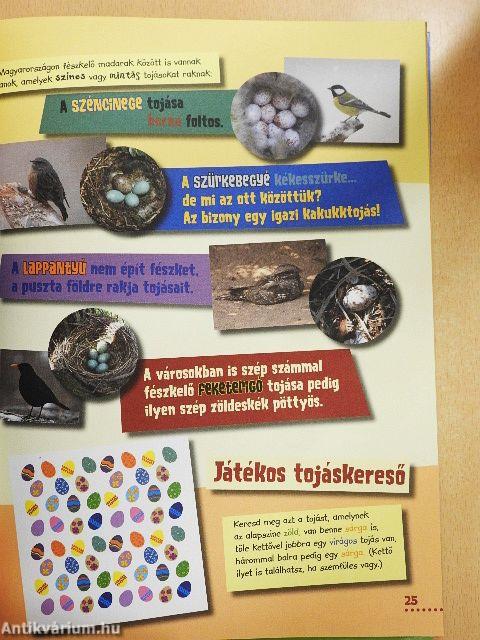 Geronimo Stilton Magazin 2013. március-április