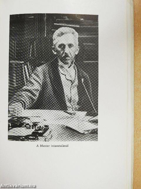 Emlékkönyv Gárdonyi Géza születésének 100. évfordulójára