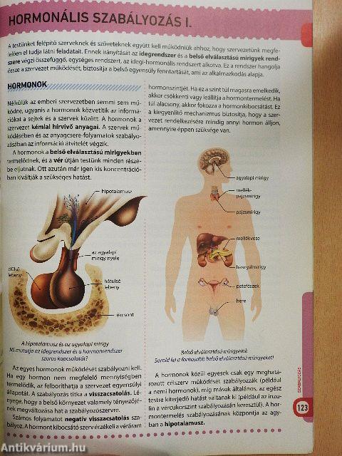 Az emberi test csodái 8.