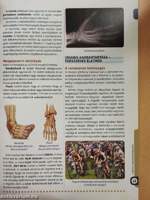 Az emberi test csodái 8.