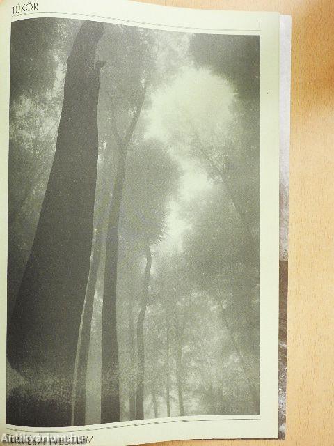 Pannon Tükör 1997. július-augusztus