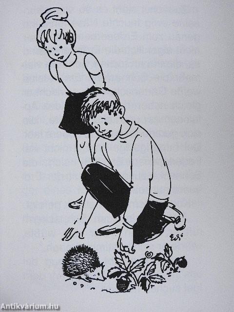 Der Stachelige Kasimir