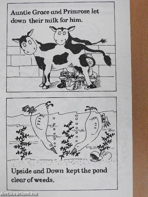 Six Animal Adventures!