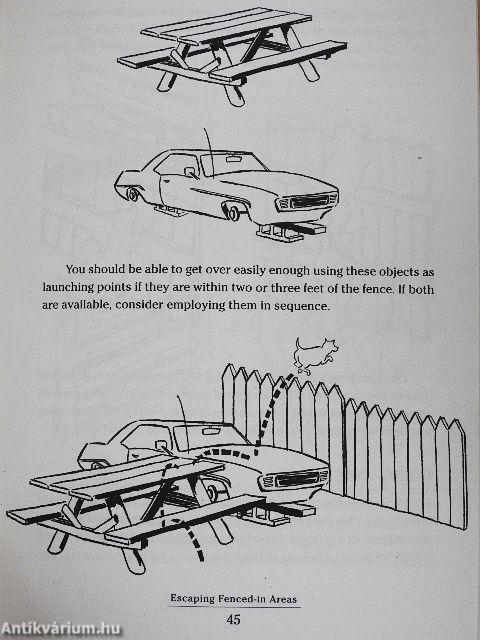 The Dastardly Book for Dogs