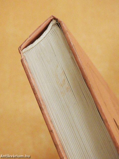 Az ember és a kutya