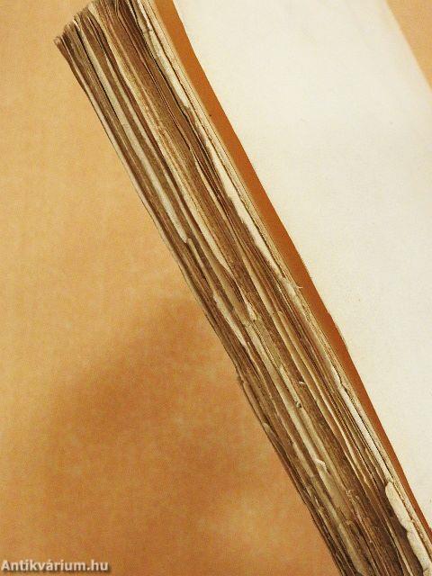 Egy lélek fejlődése V.