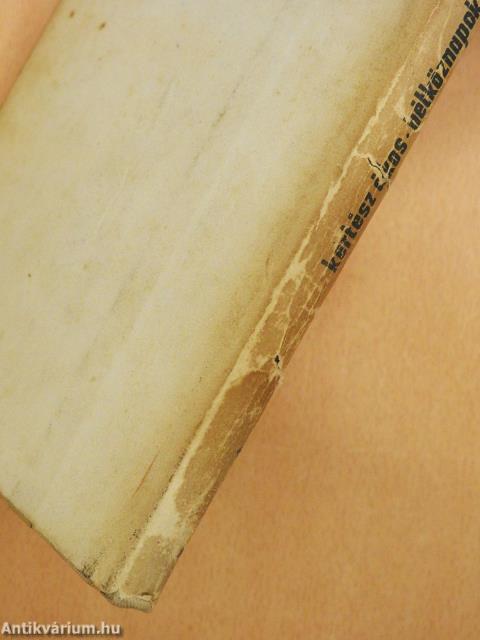 Hétköznapok szerelme (dedikált példány)