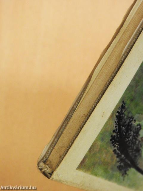 Sár (dedikált példány)