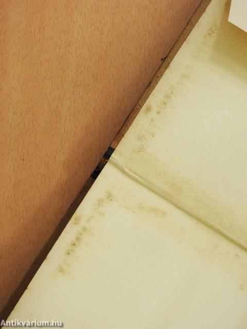 Fekete galambok (dedikált példány)