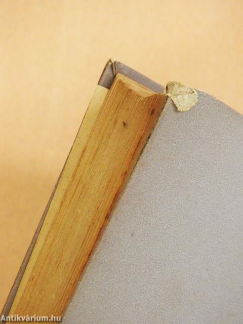 Varázsige (dedikált példány)