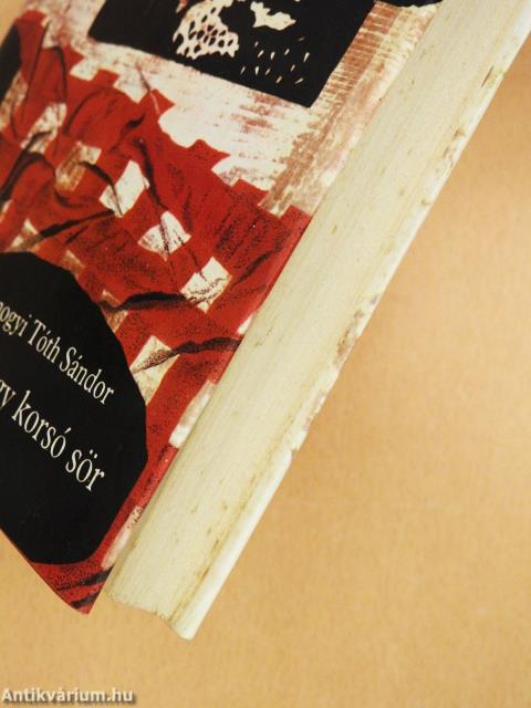 Huszonegy korsó sör (dedikált példány)