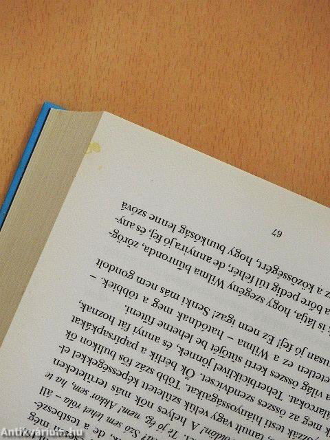 Nyaraló úszómedencével