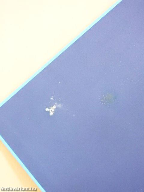 Nyaraló úszómedencével