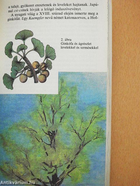 Élő kövületek