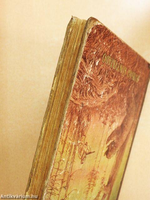 Váratlan találkozások