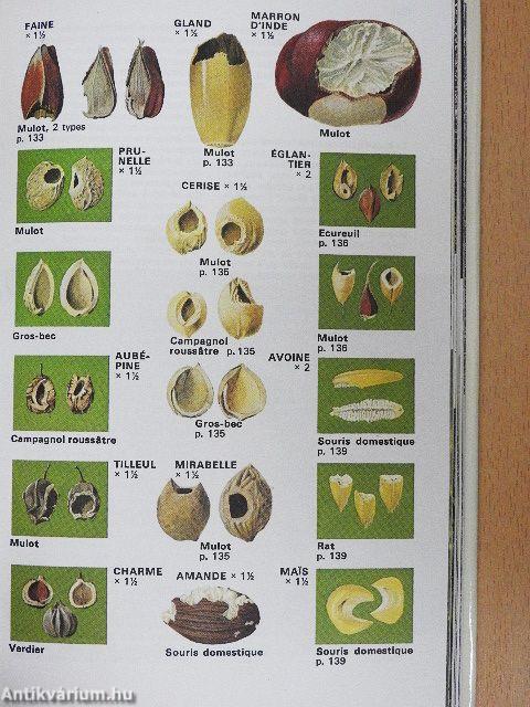 Guide des traces d'animaux