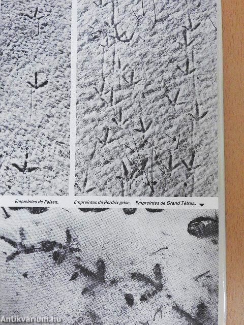Guide des traces d'animaux