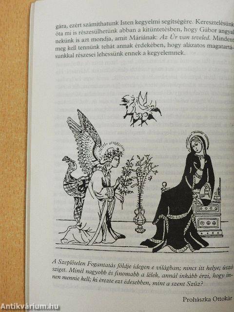 A szeretet üzenete