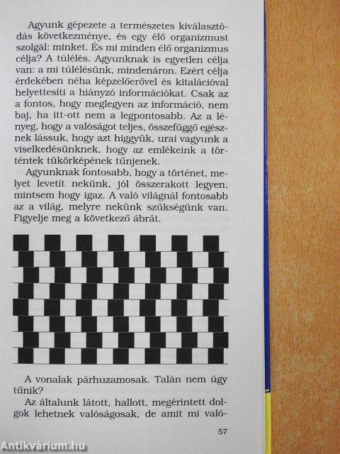 A lélek az agyban van