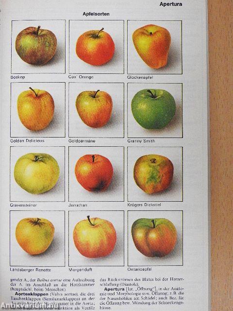 Meyers Taschenlexikon Biologie in 3 Bänden