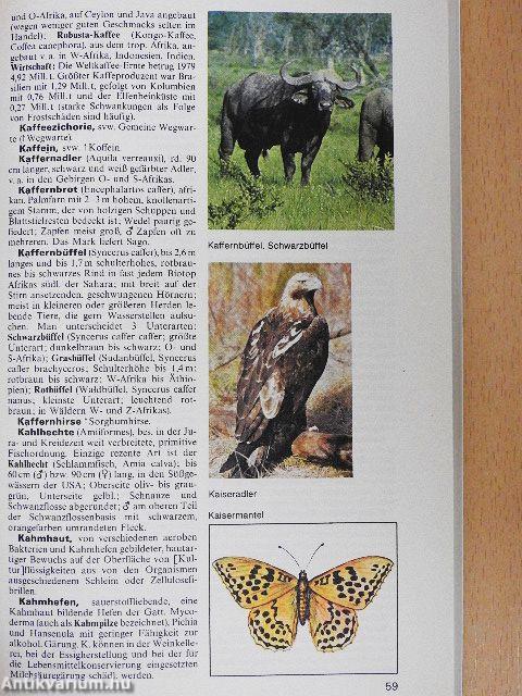 Meyers Taschenlexikon Biologie in 3 Bänden