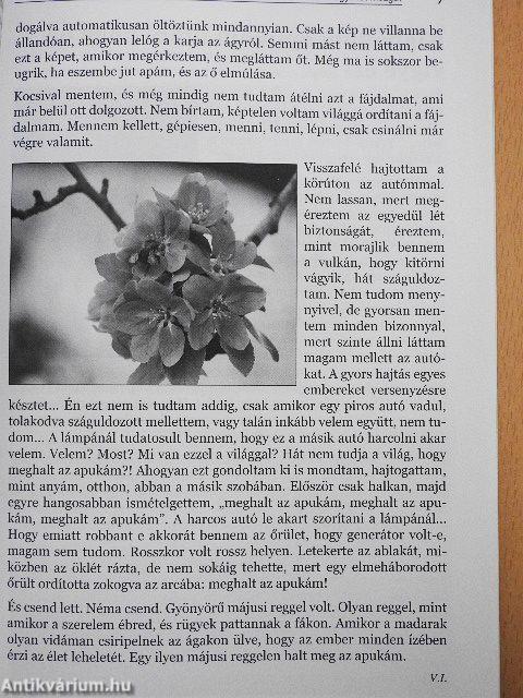 A hit, a megtérés és az imádság útja